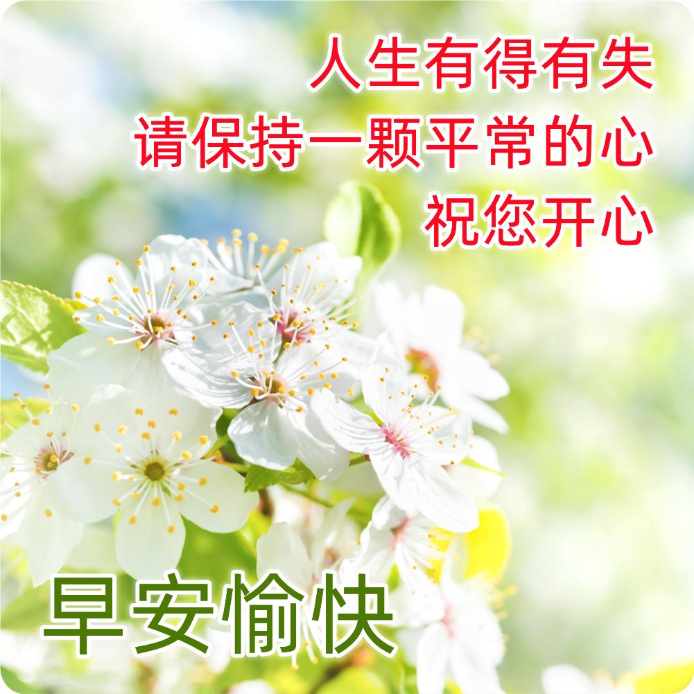 早安心语每日一语正能量句子简短,早安心语正能量早安励志精辟语录