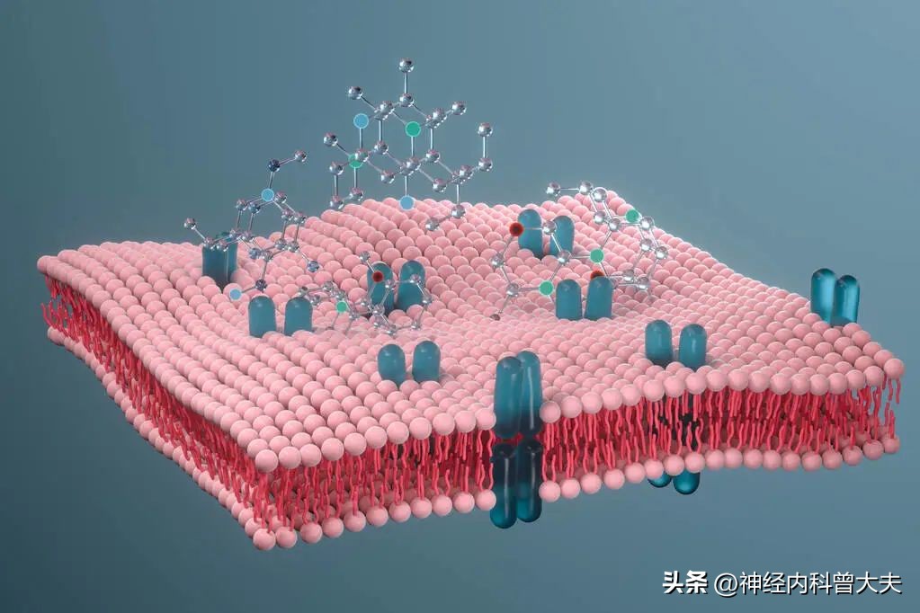 高脂血症是什么病引起的,什么是高脂血症的原因