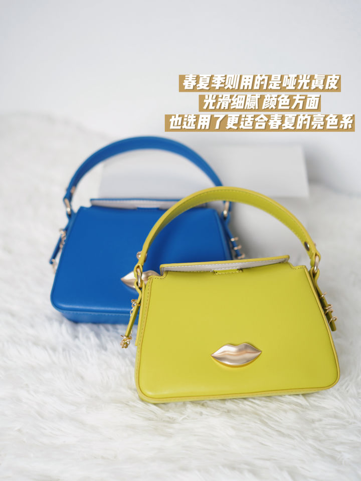 小众轻奢女士包包,轻奢小众高级感包包礼盒装