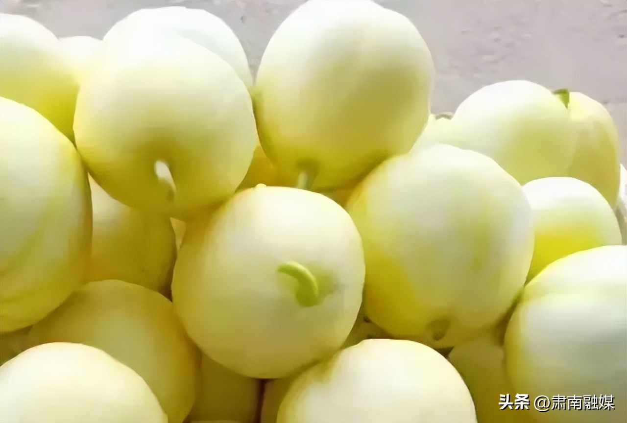 泾川足球赛,平凉崆峒泾川足球赛