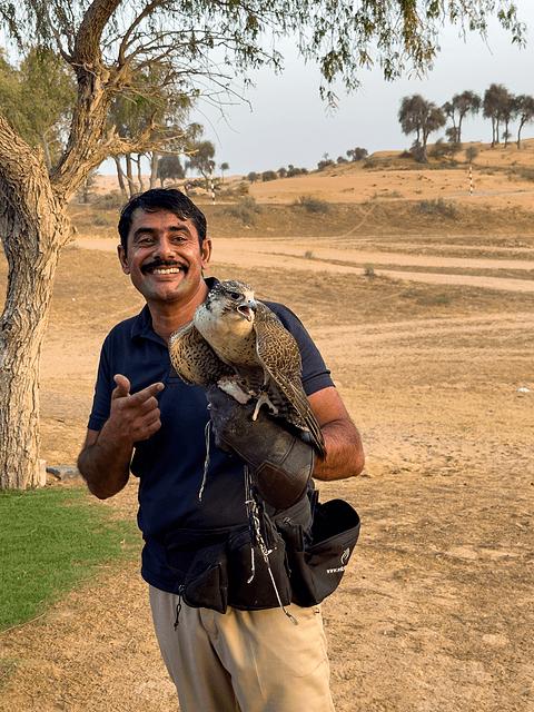 阿联酋丽思卡尔顿,阿联酋野奢帐篷
