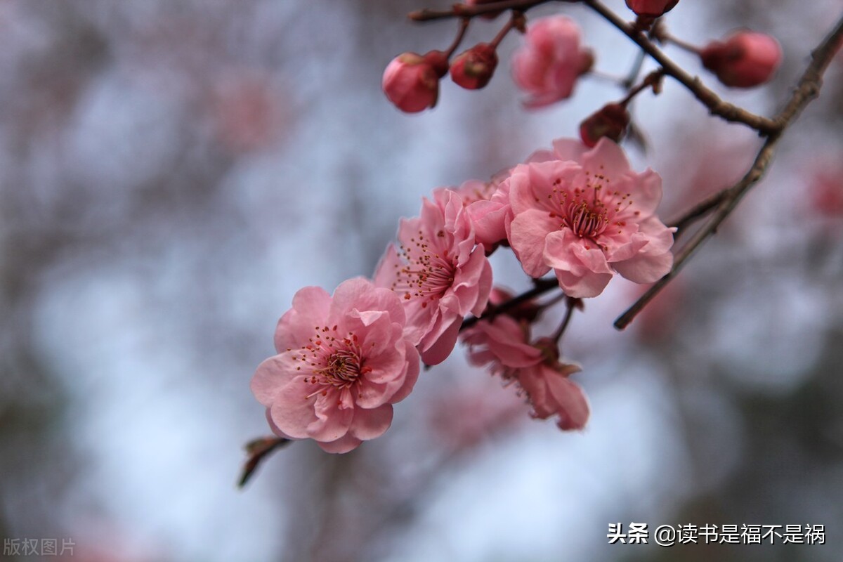 国学经典资治通鉴100句,国学经典之三国志导读第六十三讲