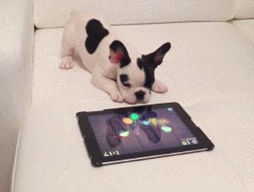 ipad平板电脑英文怎么写,平板电脑英文