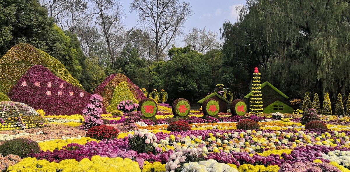 足球赛，同学情（江城子专栏）