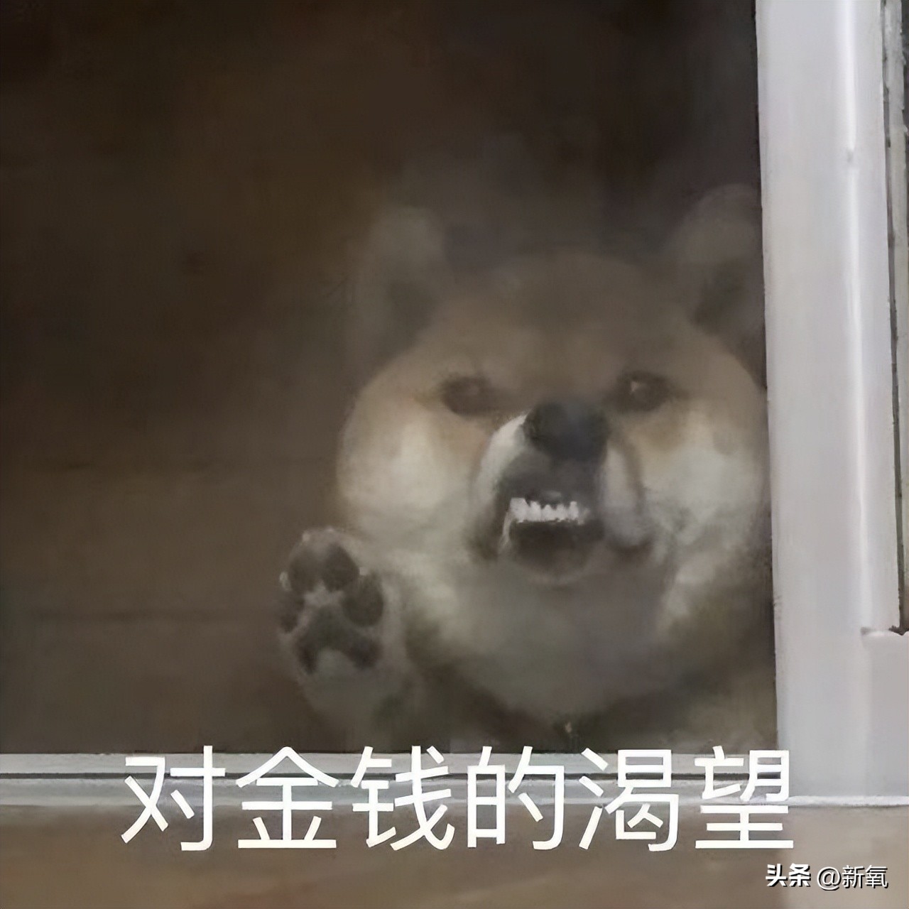 如何好好说话掌握说话技巧,日常各种经典场合的说话技巧