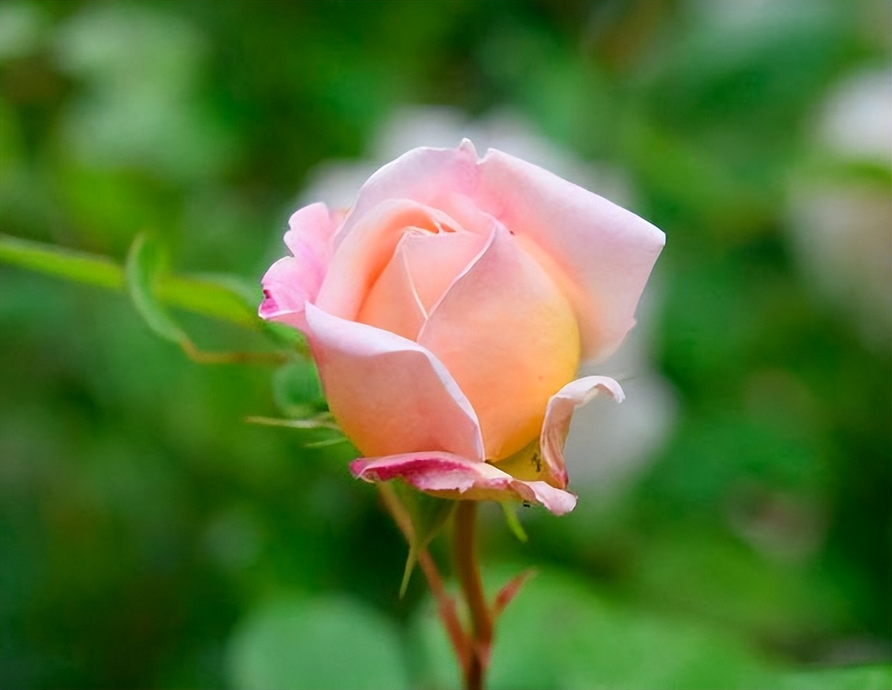 与人交往最怕遇到小人,远离不懂人情往来的人