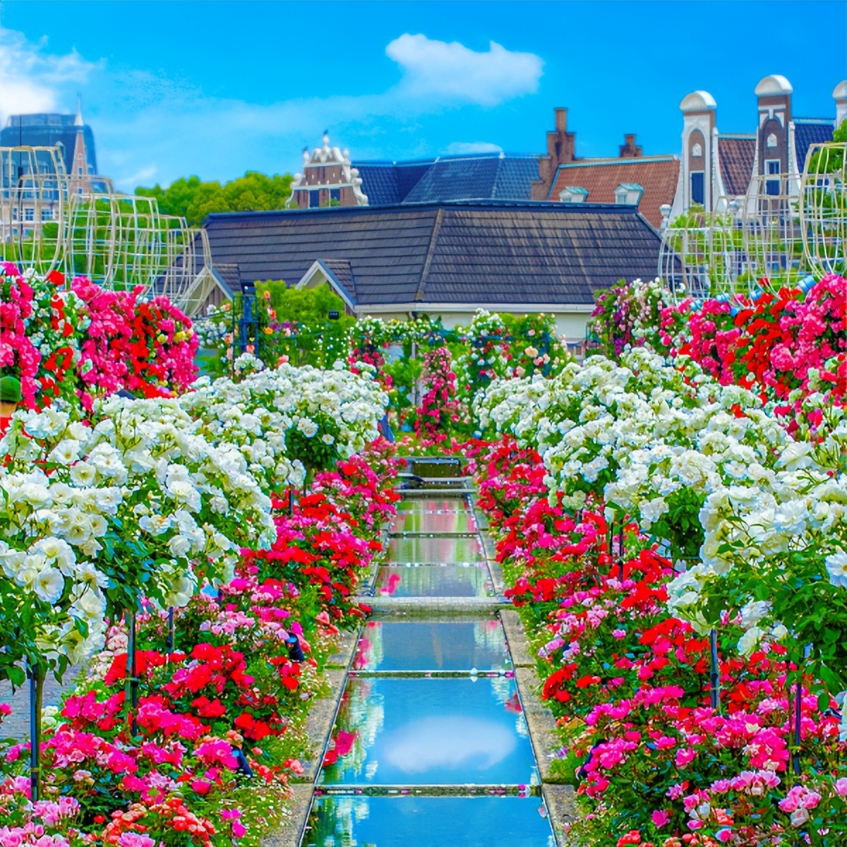 日本最新主题乐园,疫情下日本游乐园的现状