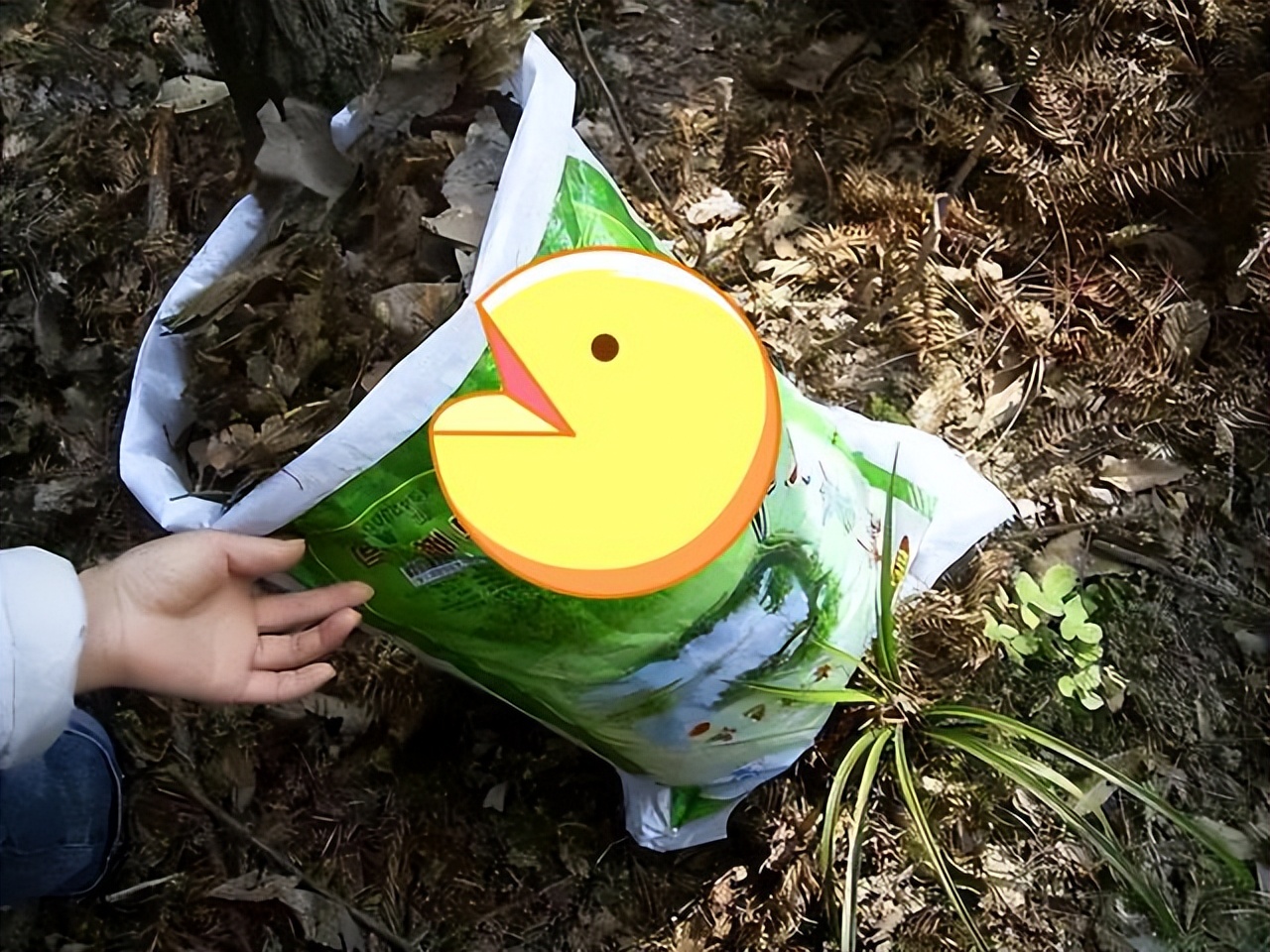 养花换掉的土,养花换下来的旧土用什么药杀菌好