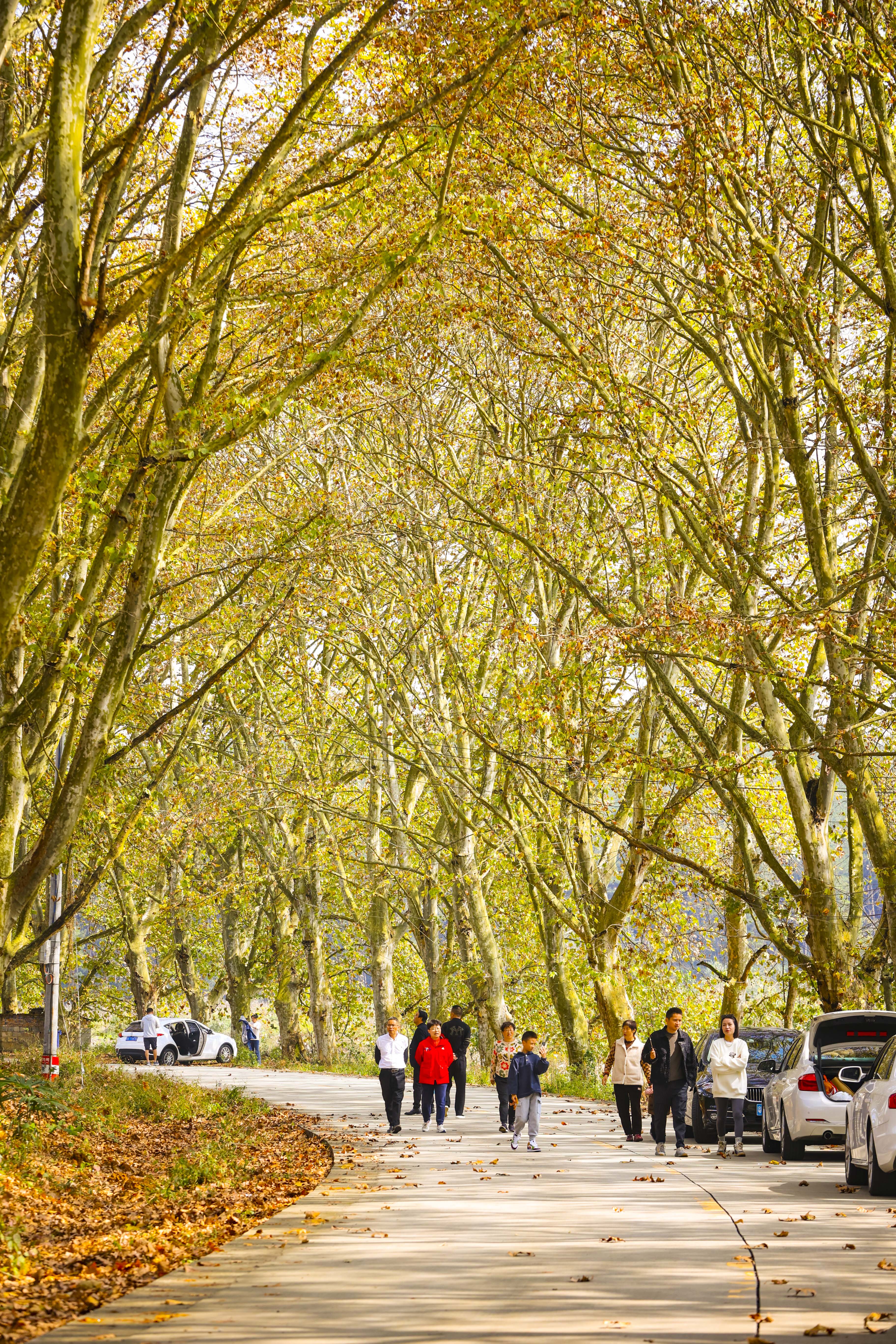 贵阳周边游玩一日游推荐秋冬,贵阳省钱旅游攻略