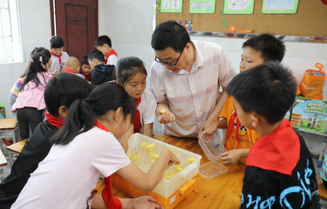 惠州市水口小学校长,龙州县水口何勇