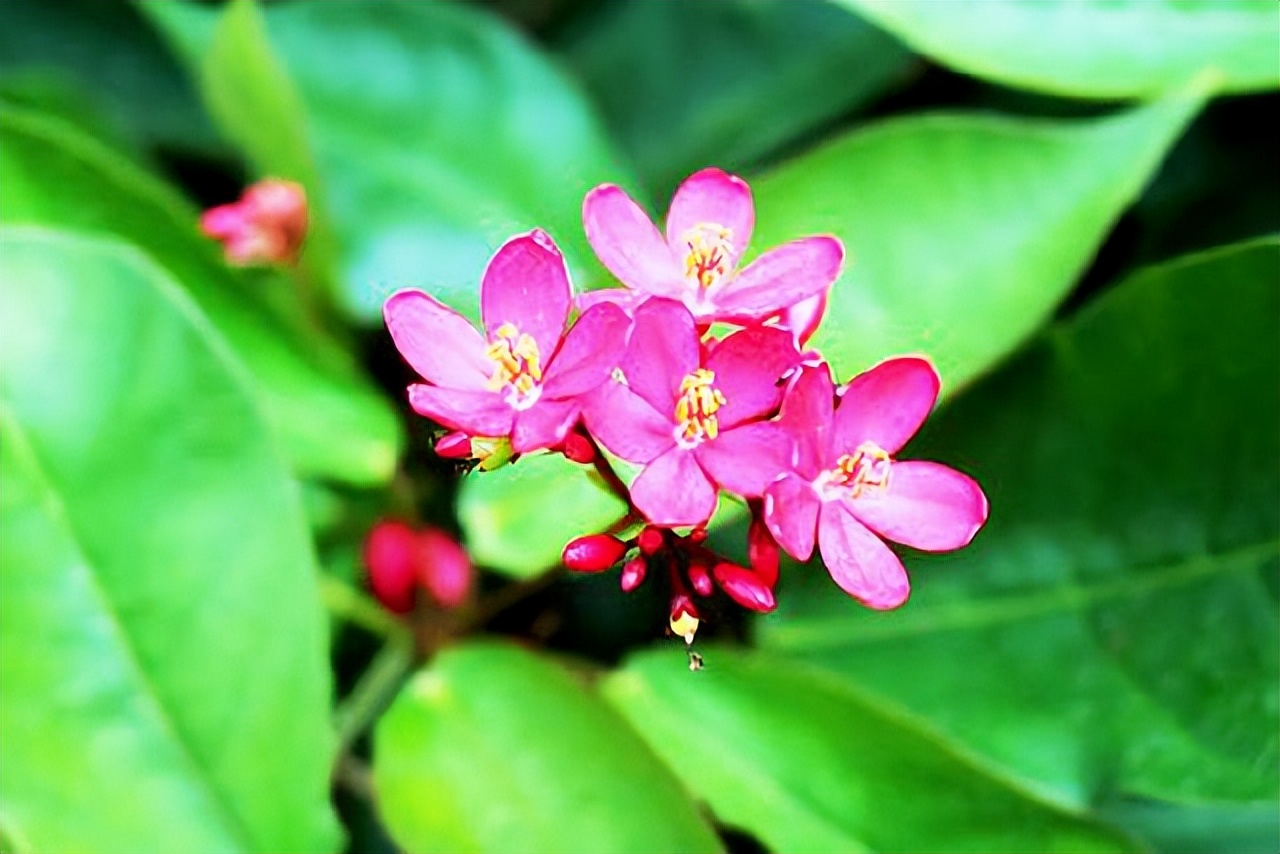 我的难过谁能懂呢伤感句子,心情难过的说说霸气短句