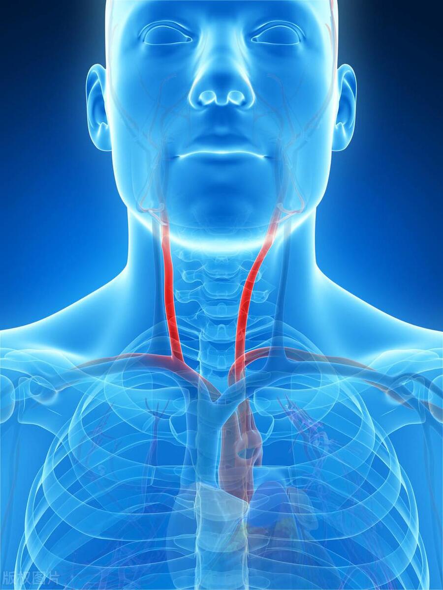 颈动脉斑块6.1x1.8mm要吃药吗,颈动脉斑块7.9x1.9mm需要吃药吗