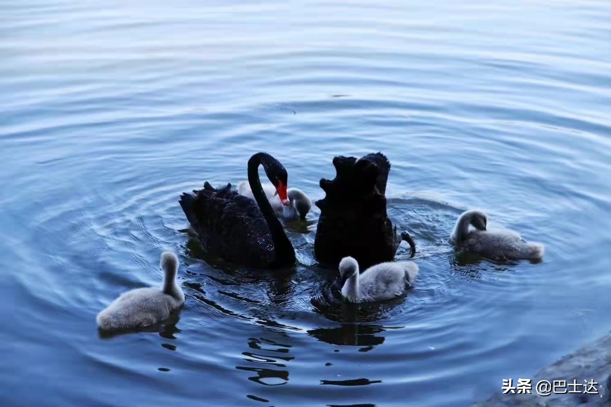 北京5天游玩省钱攻略图片,北京5到7天最佳旅游攻略