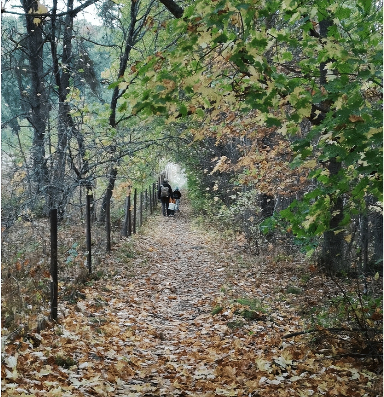 瑞典贫富差距,瑞典贫富差异