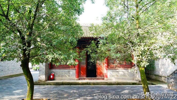 65)战疫·陕：岐山县太平寺塔、周公庙
