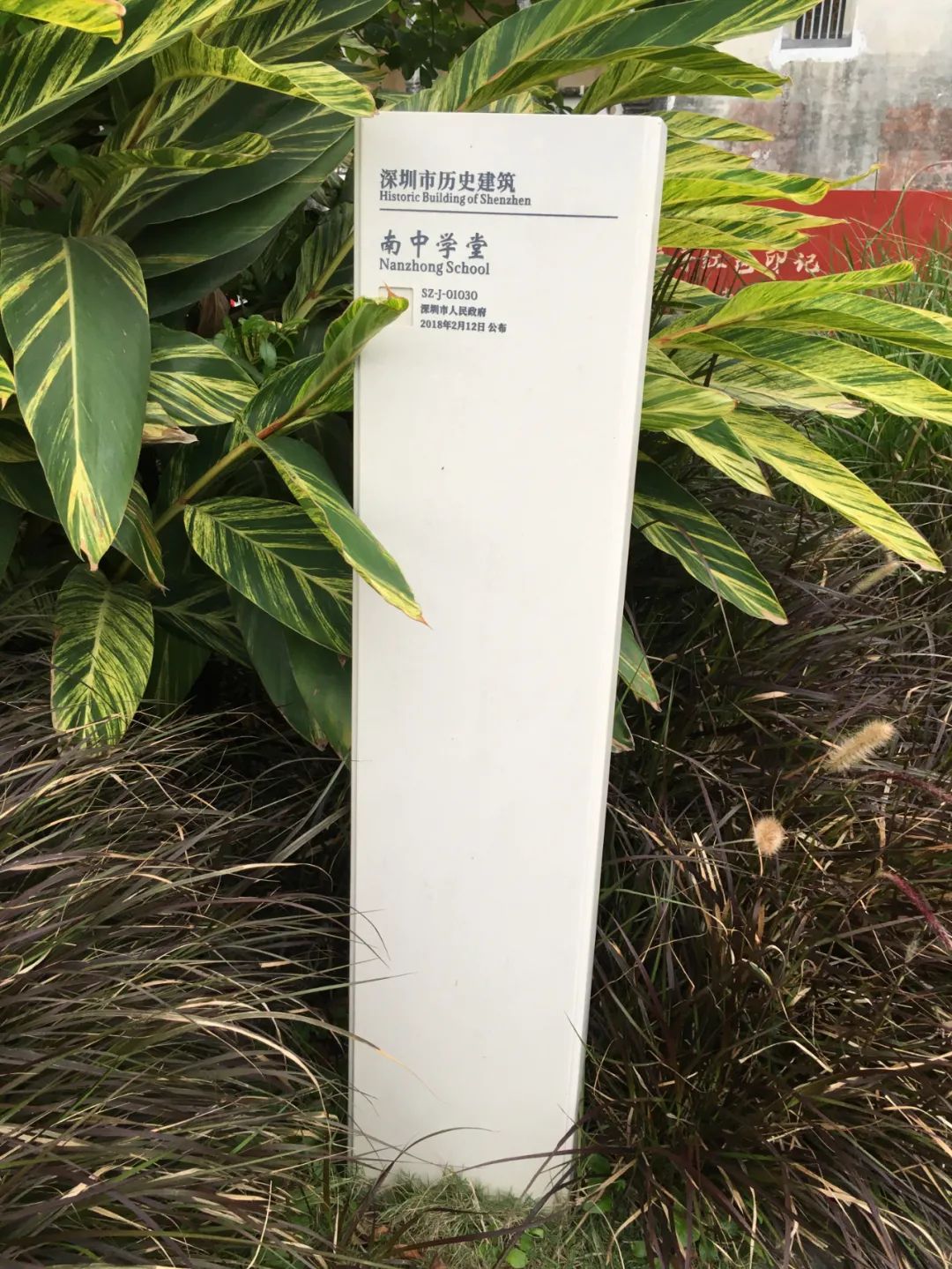 旭光车行雅迪电动车,旭光单车