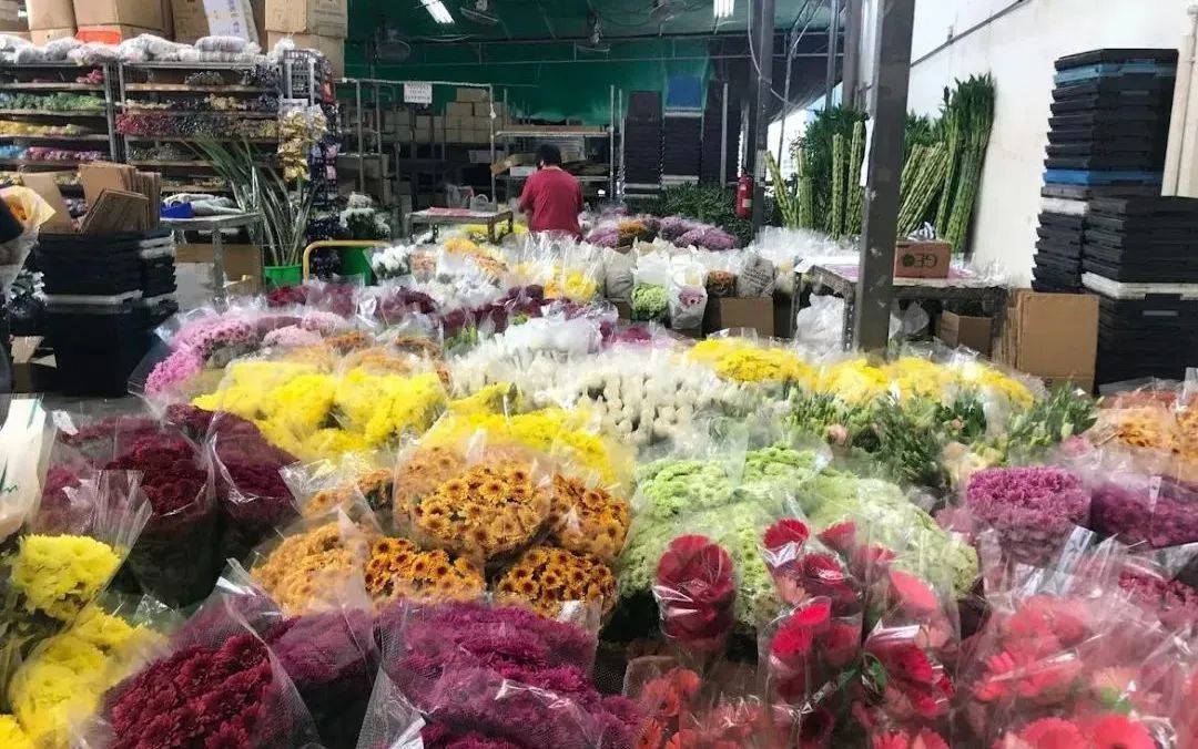 鲜花在水里能养几天会死,新加坡盆栽花卉怎么养