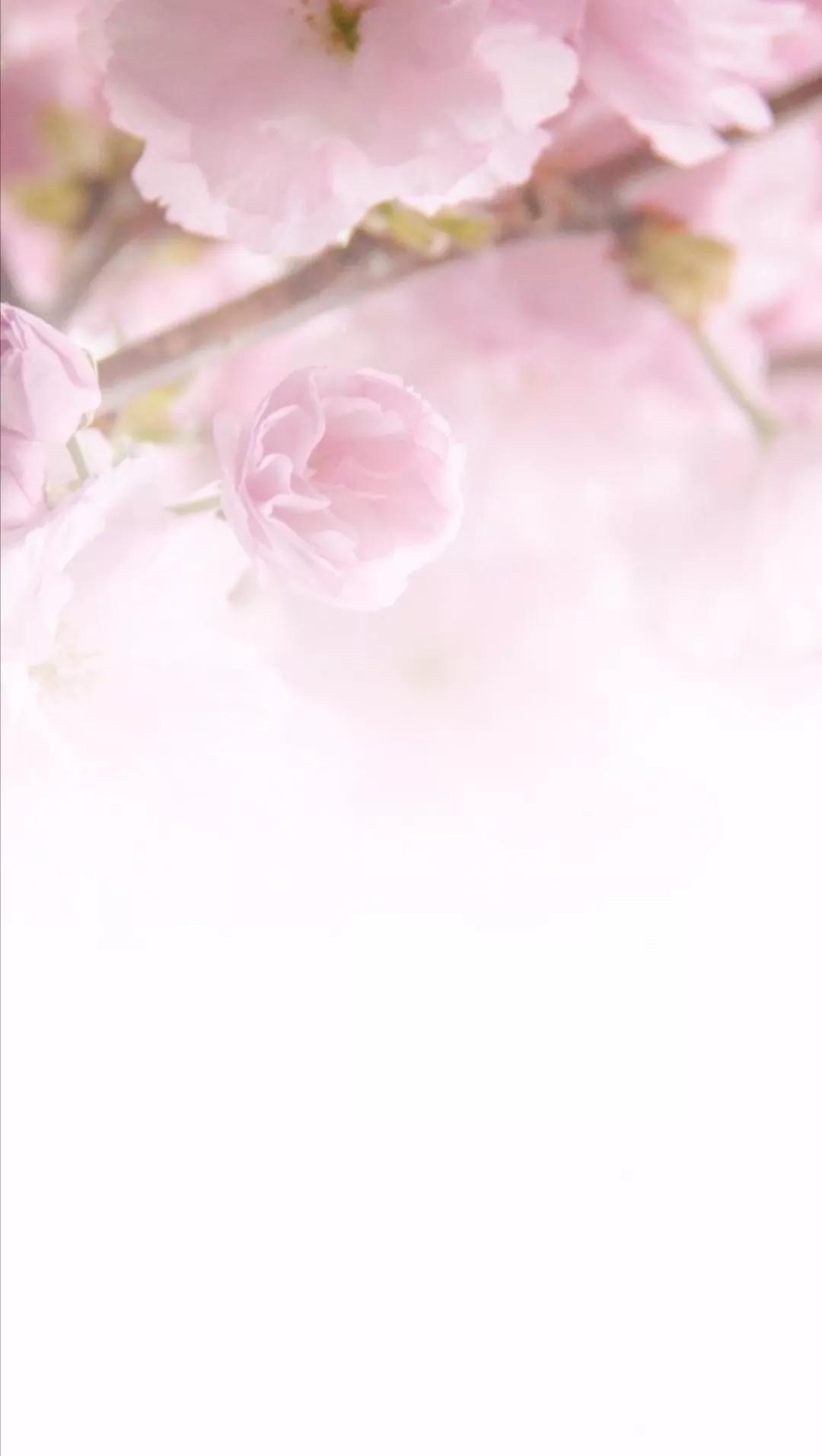 2022微信聊天背景图超清,2022最火微信背景图聊天