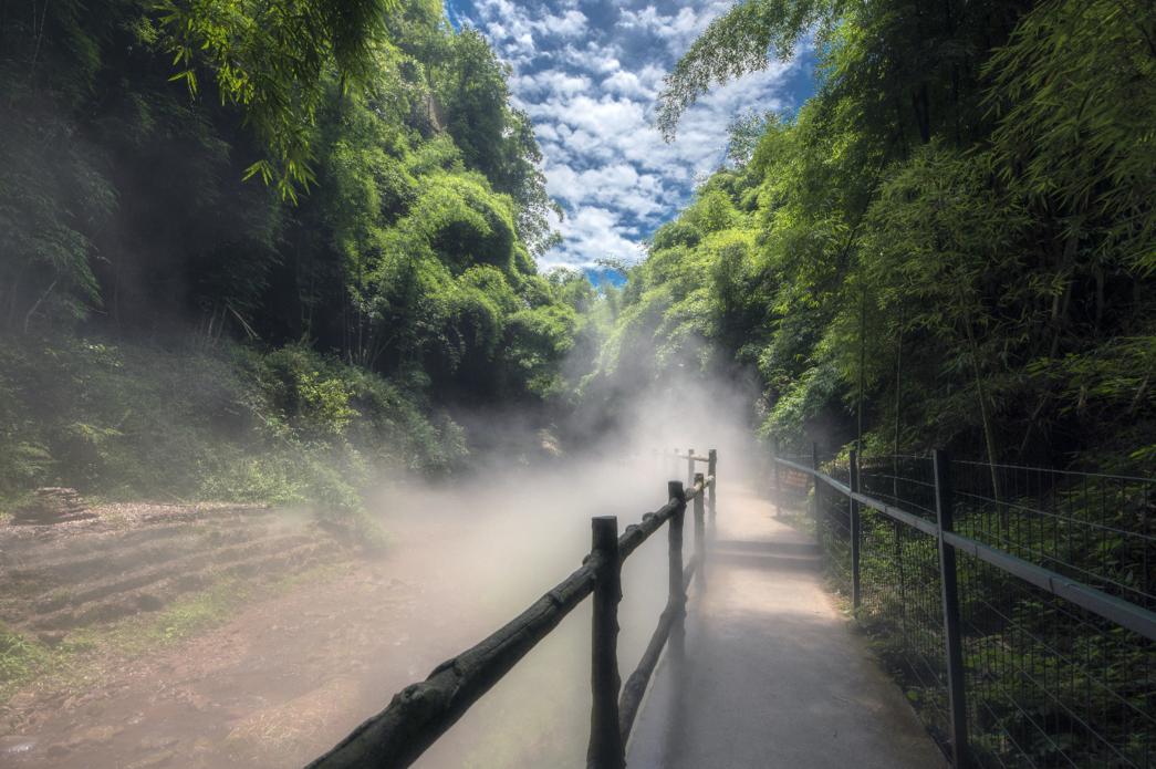 邛崃川西竹海攻略,邛崃竹海徒步攻略