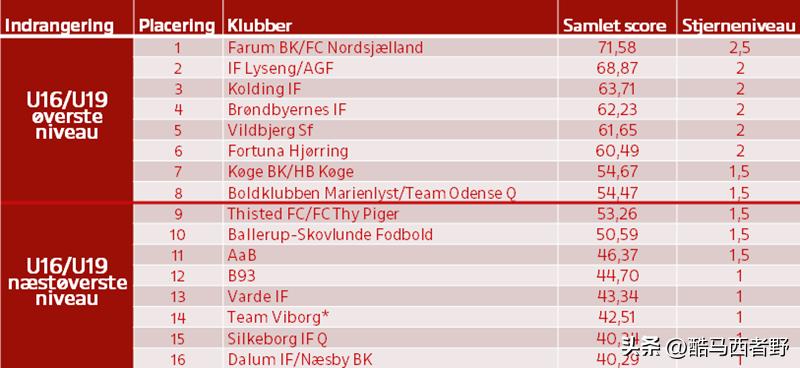 丹麦足球青训俱乐部,丹麦足协