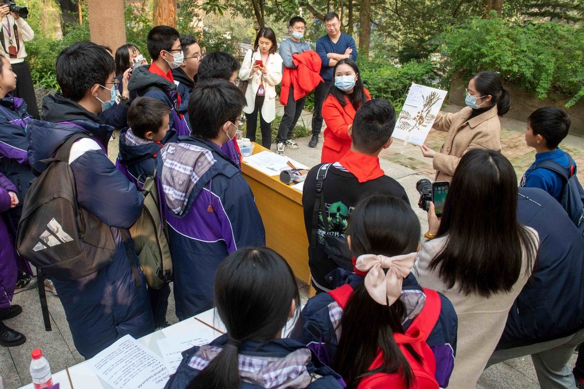 制作中医药材标本的过程,制作中医草药标本