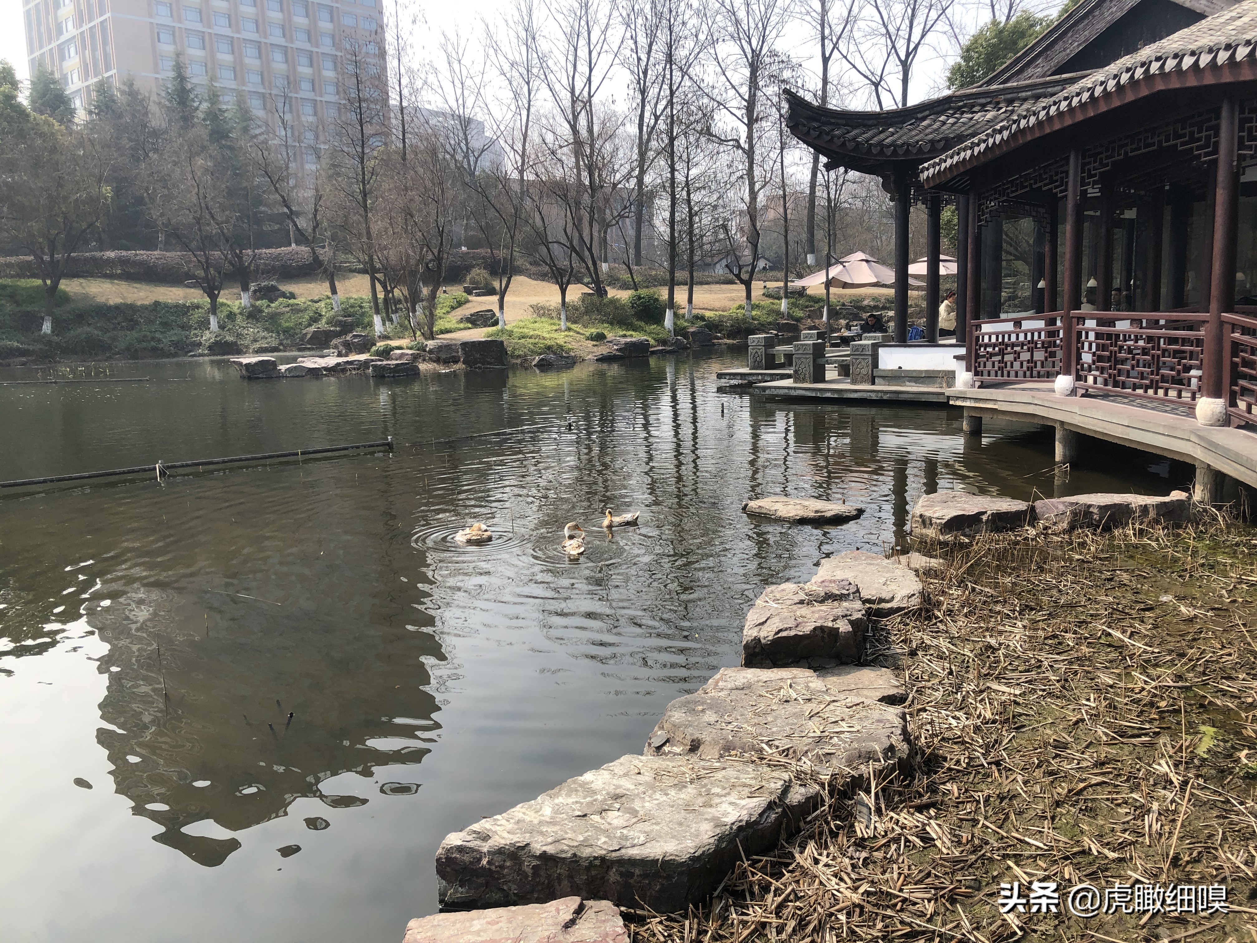 杭州下沙免费公园,杭州下沙国家公园