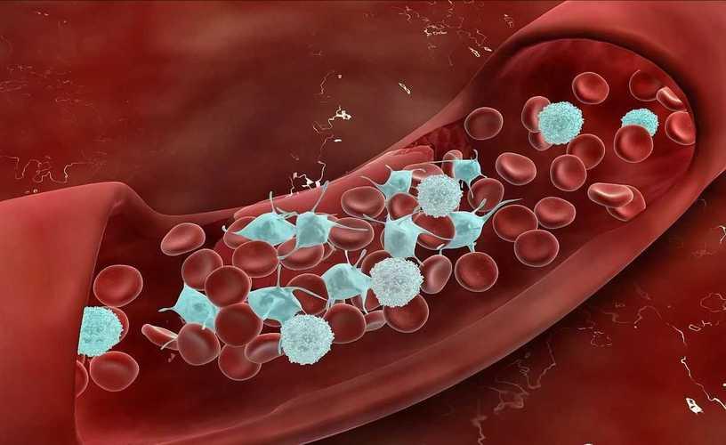 a型b型ab型o型血哪个血型抵抗力强,a型b型ab型o型哪个血型的寿命长