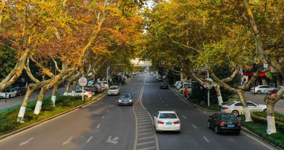 合肥市肥西县旅游景点,春节合肥市旅游景点