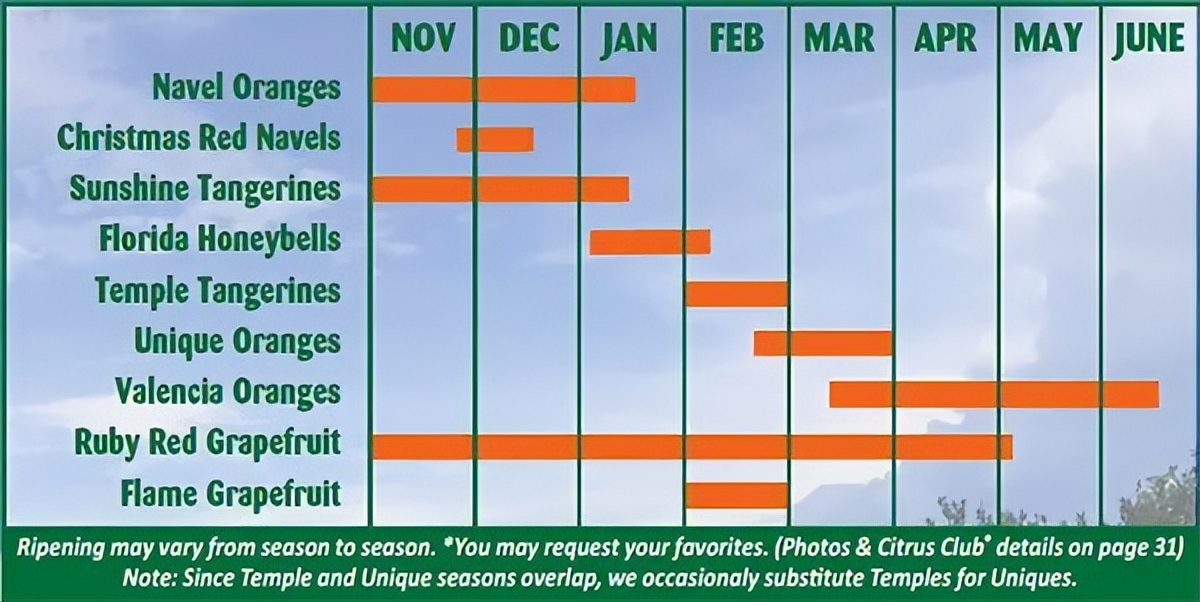 种植型家庭农场经营模式,新农田柑橘种植家庭农场