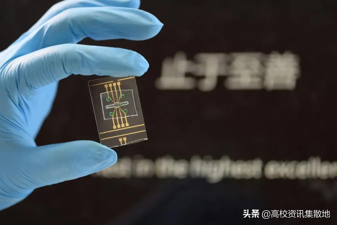 东南大学止于至善的校训,东南大学四字校训集锦