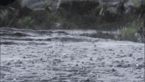 立夏过后酷热天气开始来临,立夏后天气还会潮湿吗