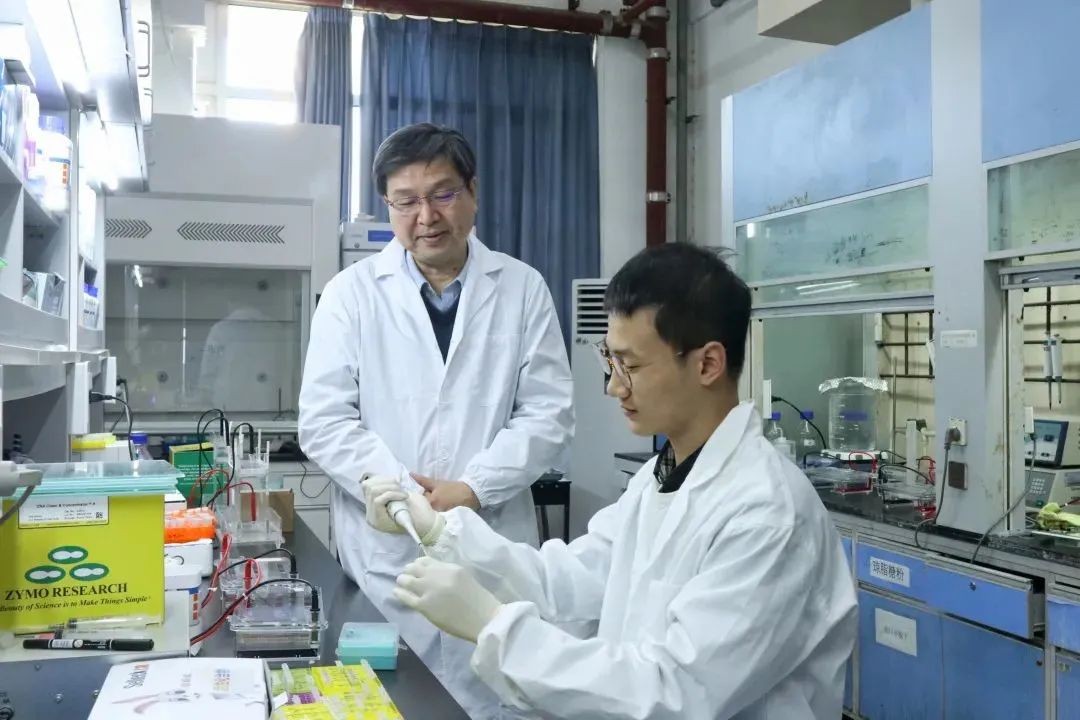 选择武汉大学，究竟选择了什么？这就是令人心动的理由之一！