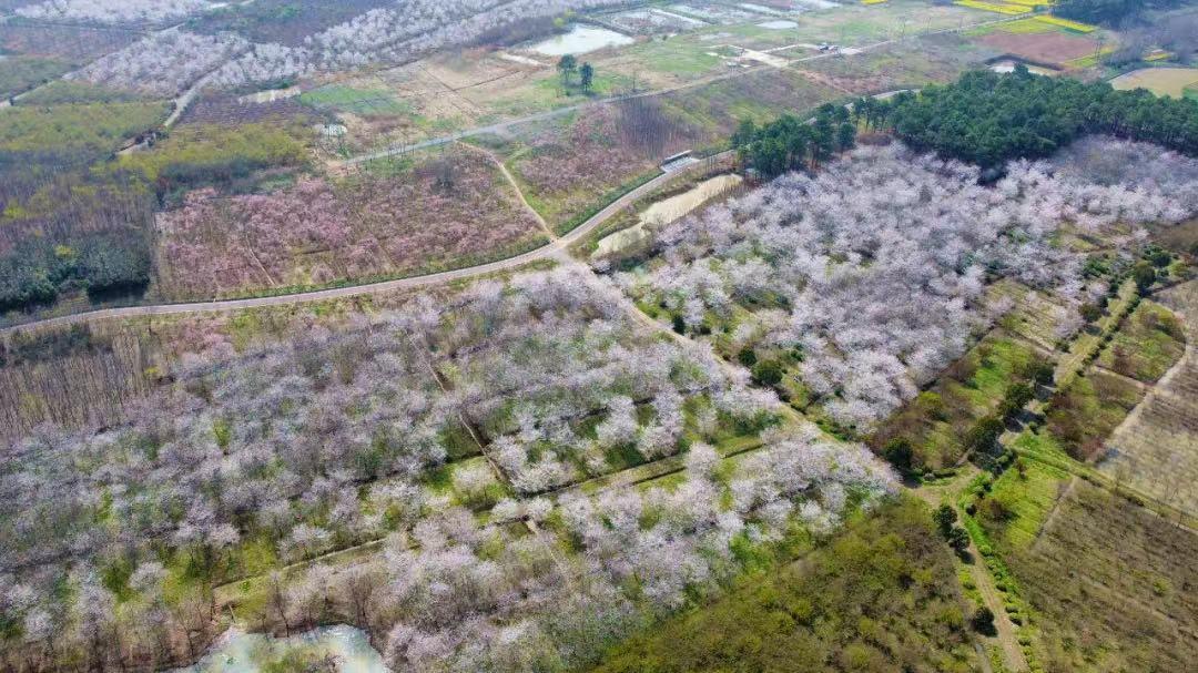 来江苏省丹阳市你愿意吗,好想来丹阳