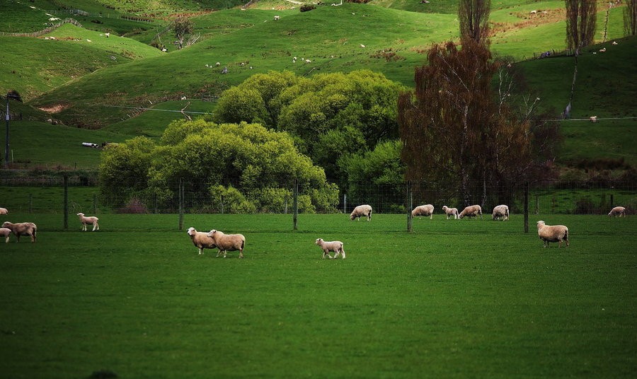 世界上最孤独的国家有多孤独？节假日商铺全关，却令无数人向往