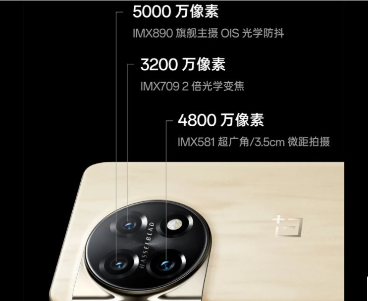 养猫必备好物清单,不贵又实用的养猫好物分享