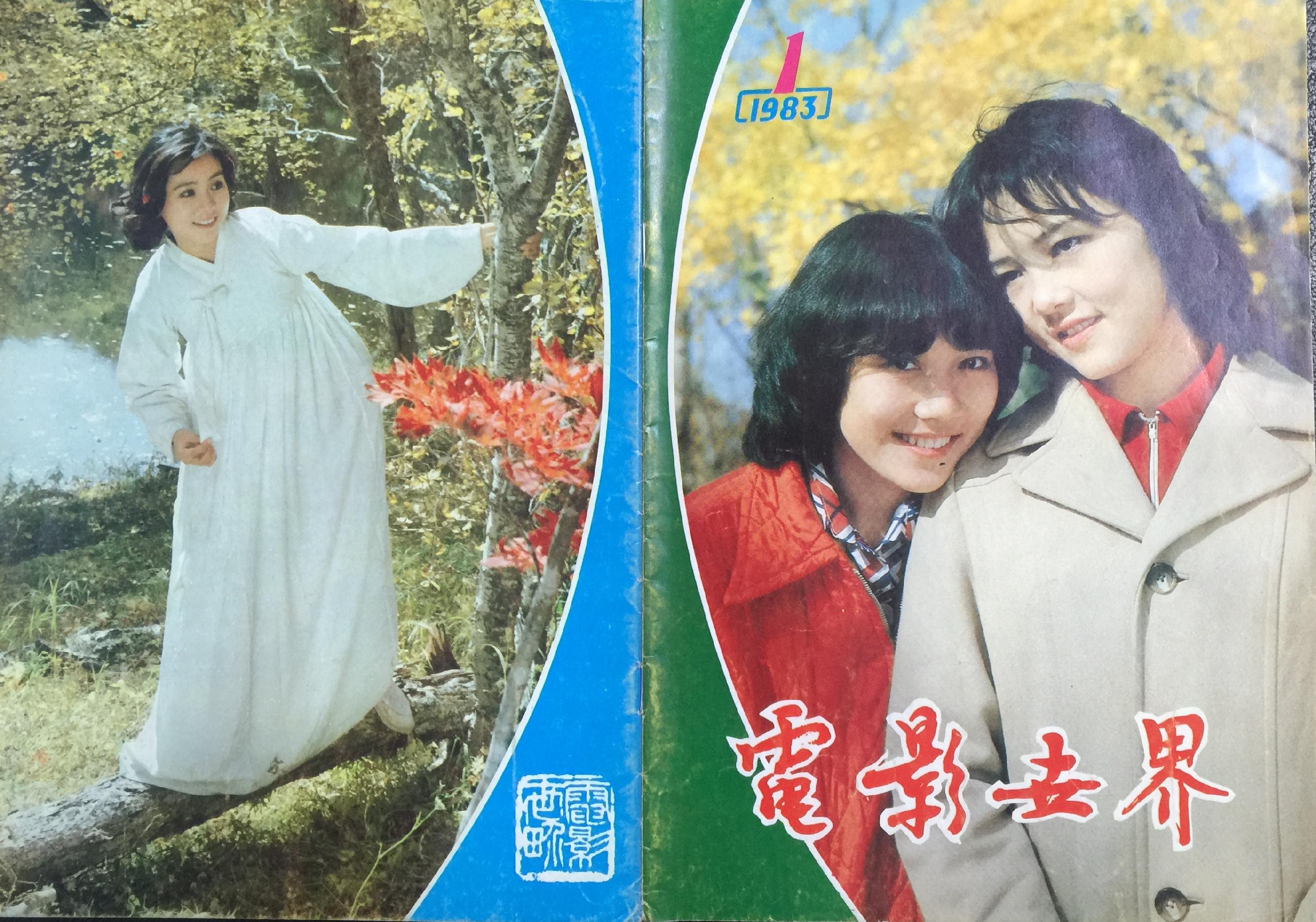 老杂志怀旧,80年代电影杂志大全