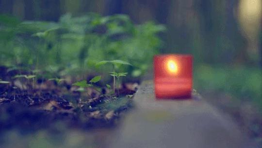 如何引导小儿多动,儿童多动抽动障碍与社会心理