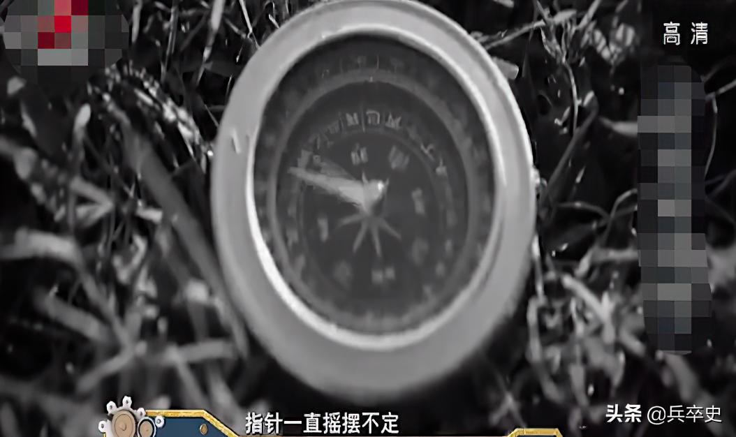 野猪林诡异事件,野猪林神秘事件