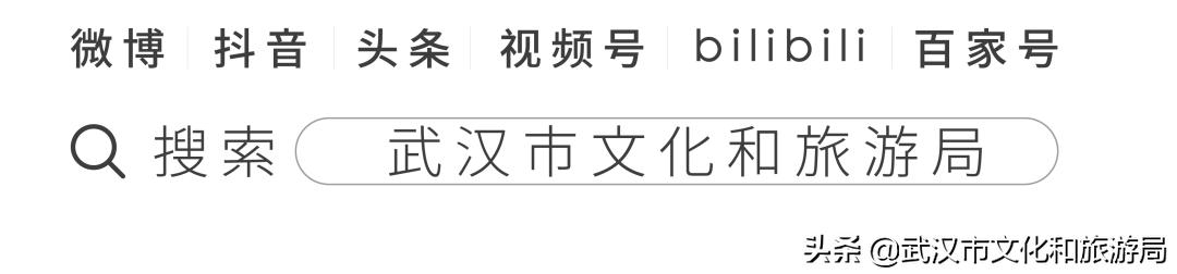 武汉的浪漫鲜花占一半,武汉的樱花开满了全城