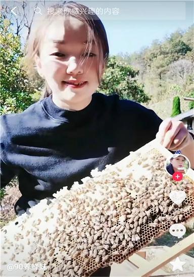90后养蜂女现状,90后深山养蜂