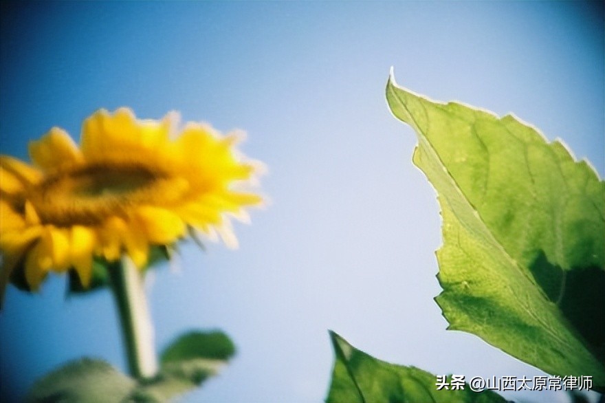 涉烟案件常见问题律师解答,涉烟案件经典案例