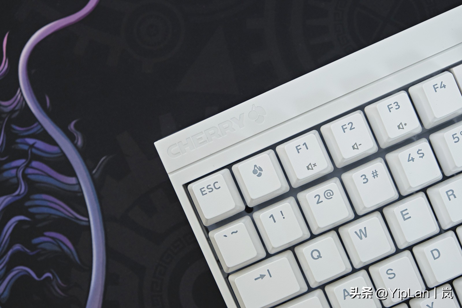 cherry澶栬鎺ㄨ崘,鍞湁淇′话涓嶅彲杈滆礋