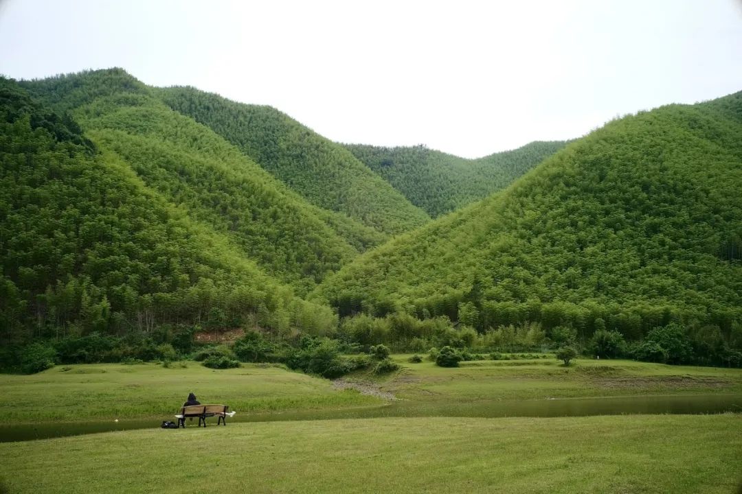 浙江市区度假酒店推荐,浙江轻奢酒店值得推荐