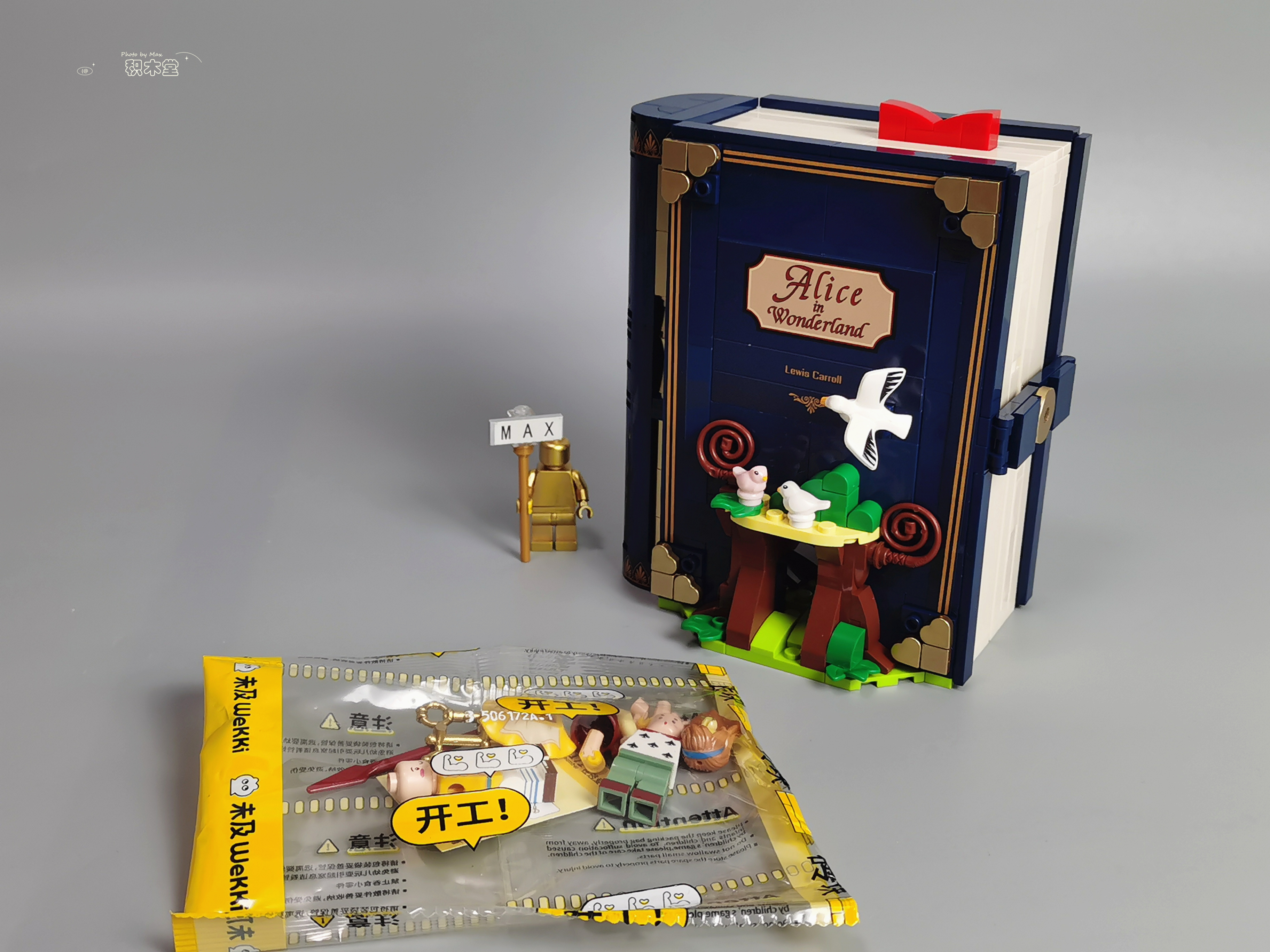 「体验」未及的众筹产品抢先看《在逃公主-爱丽丝》