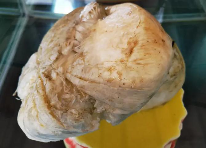 1斤能卖多少钱的东西,1斤以内太岁出售