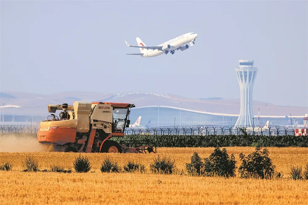 北京大兴室内景点,北京大兴自然景观