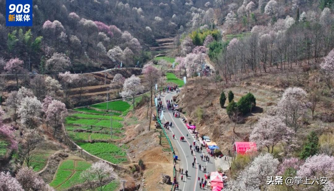 六安这里有一个“亚洲一号”