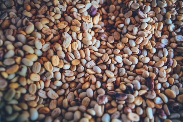 十大高档咖啡猫屎咖啡,猫屎咖啡和什么咖啡最贵