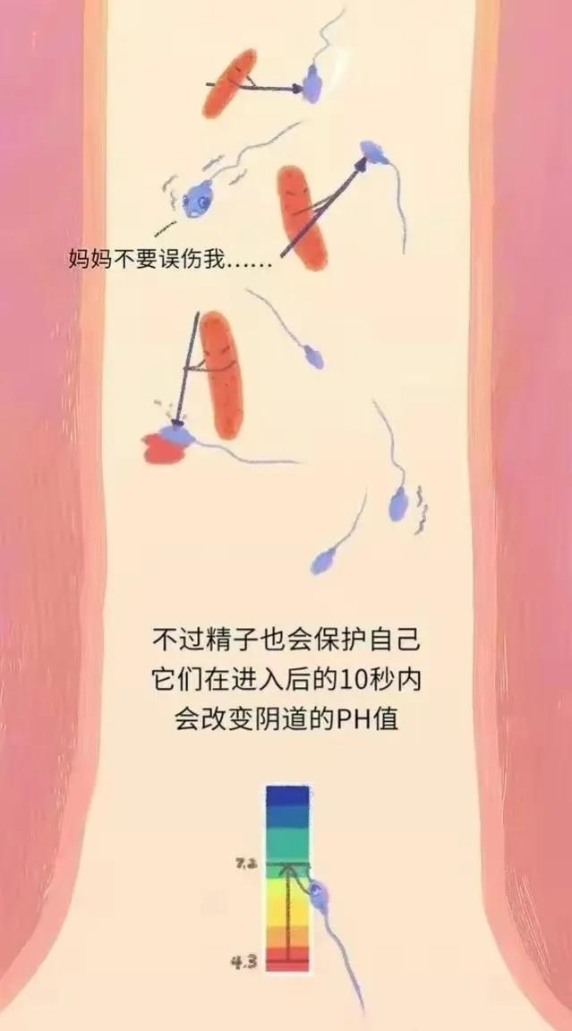绮惧瓙杩涘叆浜轰綋24灏忔椂鍙樺寲,绮惧瓙杩涘叆浜轰綋1灏忔椂鍙樺寲
