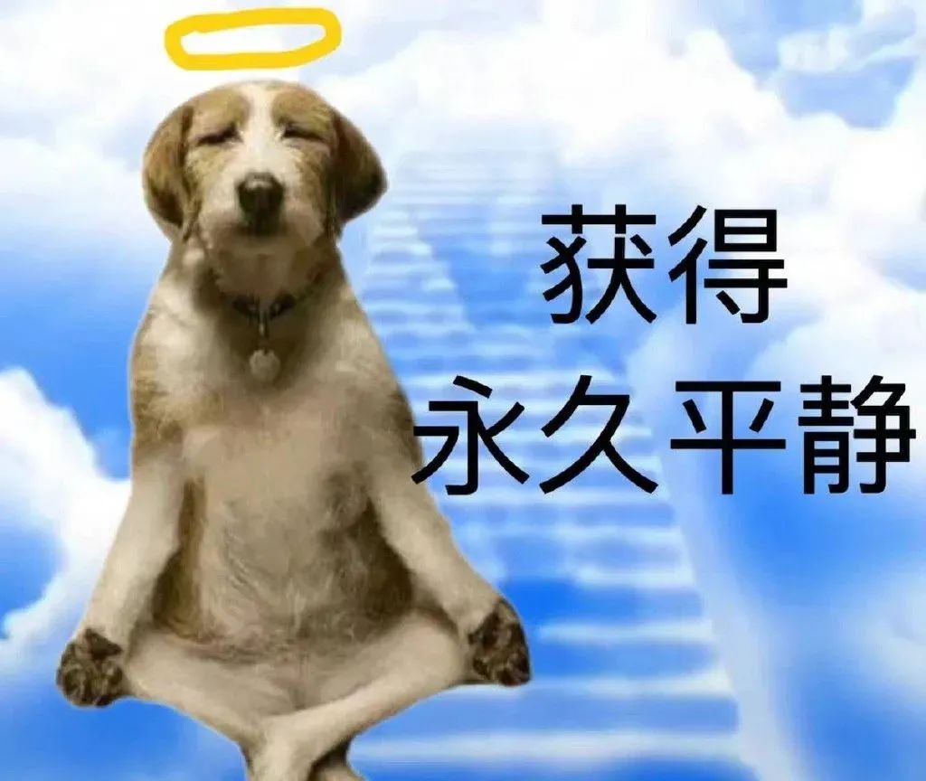 疯成这样！？00后开始流行下跪？这届年轻人的迷信谁懂